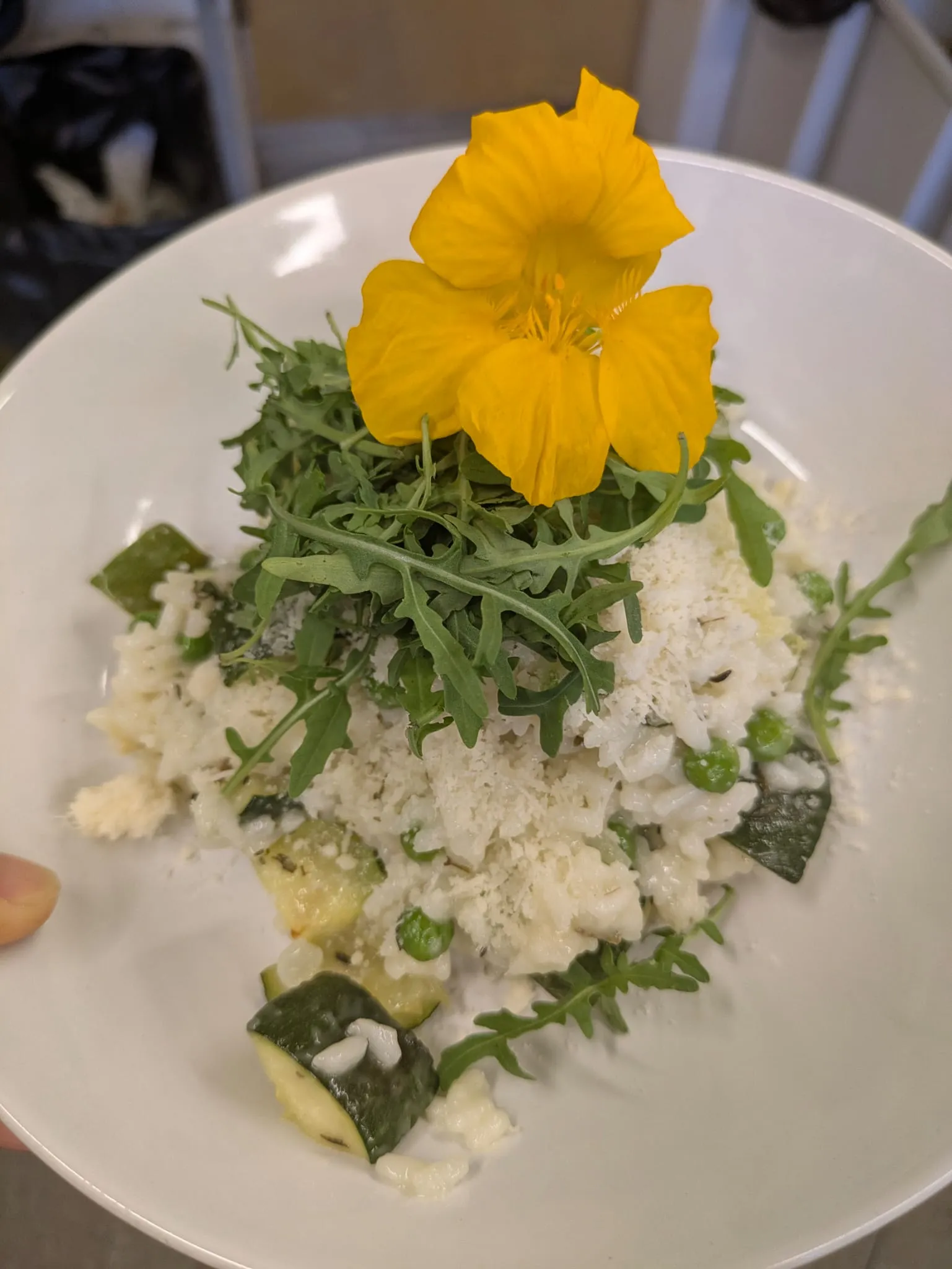 Plant Based Czech Classics